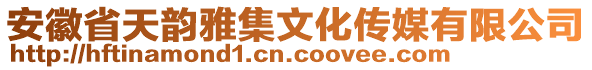 安徽省天韻雅集文化傳媒有限公司