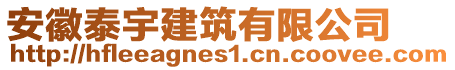 安徽泰宇建筑有限公司