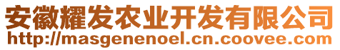 安徽耀發(fā)農(nóng)業(yè)開發(fā)有限公司