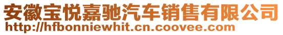 安徽寶悅嘉馳汽車銷售有限公司