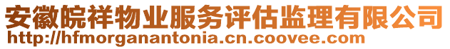 安徽皖祥物業(yè)服務(wù)評估監(jiān)理有限公司