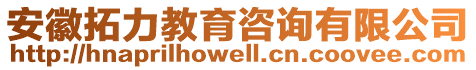 安徽拓力教育咨詢有限公司