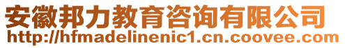 安徽邦力教育咨詢有限公司