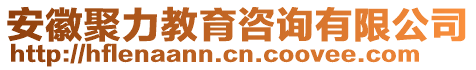 安徽聚力教育咨詢有限公司