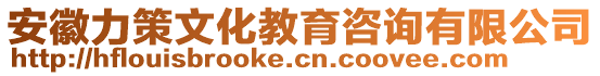 安徽力策文化教育咨詢有限公司