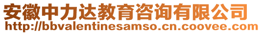 安徽中力達教育咨詢有限公司