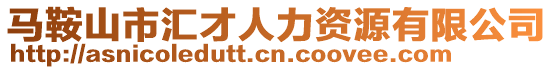 馬鞍山市匯才人力資源有限公司