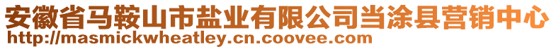 安徽省馬鞍山市鹽業(yè)有限公司當(dāng)涂縣營(yíng)銷中心