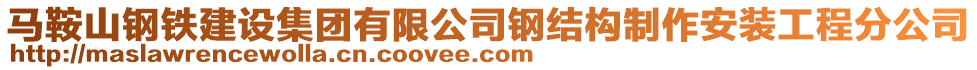 馬鞍山鋼鐵建設集團有限公司鋼結(jié)構(gòu)制作安裝工程分公司