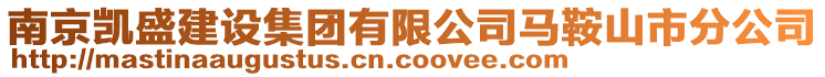 南京凱盛建設(shè)集團有限公司馬鞍山市分公司