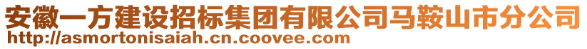 安徽一方建設(shè)招標(biāo)集團(tuán)有限公司馬鞍山市分公司