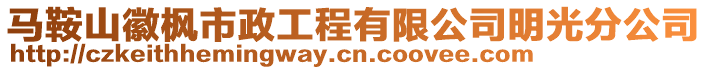 馬鞍山徽楓市政工程有限公司明光分公司