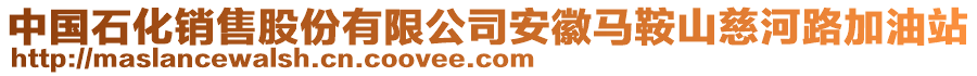 中國石化銷售股份有限公司安徽馬鞍山慈河路加油站