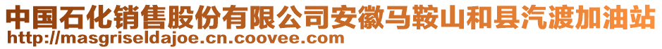 中國石化銷售股份有限公司安徽馬鞍山和縣汽渡加油站