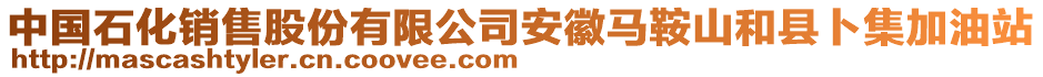中國(guó)石化銷售股份有限公司安徽馬鞍山和縣卜集加油站
