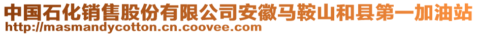 中國石化銷售股份有限公司安徽馬鞍山和縣第一加油站