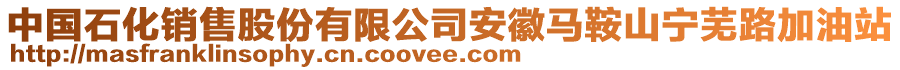 中國(guó)石化銷售股份有限公司安徽馬鞍山寧蕪路加油站