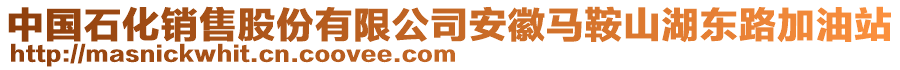 中國石化銷售股份有限公司安徽馬鞍山湖東路加油站