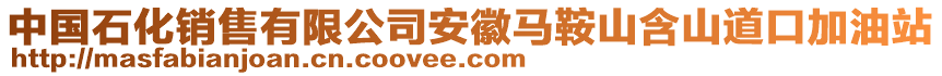 中國石化銷售有限公司安徽馬鞍山含山道口加油站