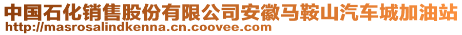 中國石化銷售股份有限公司安徽馬鞍山汽車城加油站