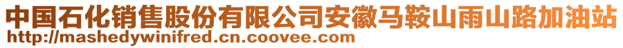中國(guó)石化銷售股份有限公司安徽馬鞍山雨山路加油站