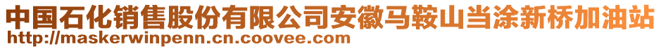 中國(guó)石化銷售股份有限公司安徽馬鞍山當(dāng)涂新橋加油站