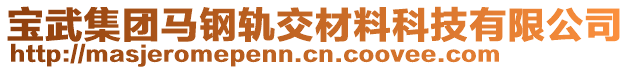 寶武集團(tuán)馬鋼軌交材料科技有限公司