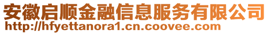 安徽啟順金融信息服務(wù)有限公司