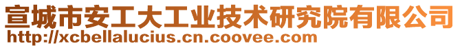 宣城市安工大工業(yè)技術(shù)研究院有限公司