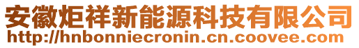 安徽炬祥新能源科技有限公司