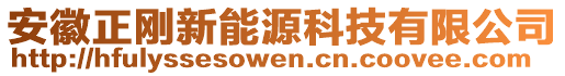 安徽正剛新能源科技有限公司