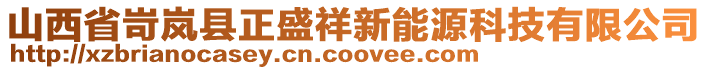 山西省岢嵐縣正盛祥新能源科技有限公司