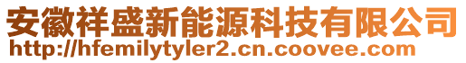 安徽祥盛新能源科技有限公司