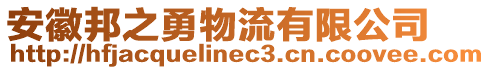 安徽邦之勇物流有限公司