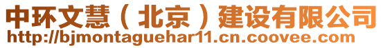 中環(huán)文慧（北京）建設(shè)有限公司