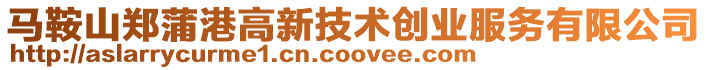 馬鞍山鄭蒲港高新技術創業服務有限公司