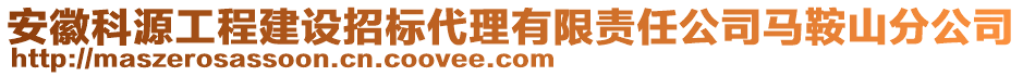 安徽科源工程建設招標代理有限責任公司馬鞍山分公司