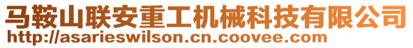 馬鞍山聯(lián)安重工機械科技有限公司