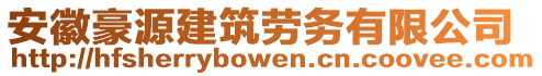 安徽豪源建筑勞務有限公司