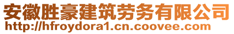 安徽勝豪建筑勞務(wù)有限公司