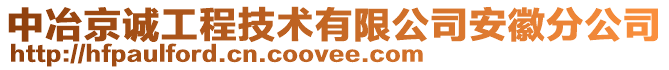 中冶京誠工程技術有限公司安徽分公司