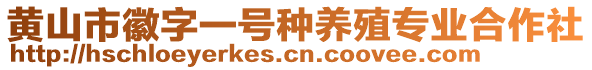 黃山市徽字一號(hào)種養(yǎng)殖專業(yè)合作社