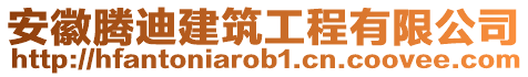 安徽騰迪建筑工程有限公司