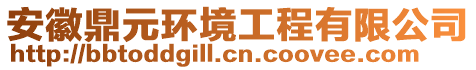 安徽鼎元環(huán)境工程有限公司