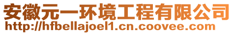 安徽元一環(huán)境工程有限公司