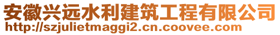 安徽興遠(yuǎn)水利建筑工程有限公司