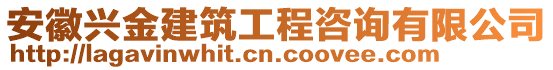 安徽興金建筑工程咨詢(xún)有限公司