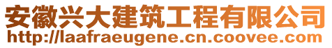 安徽興大建筑工程有限公司