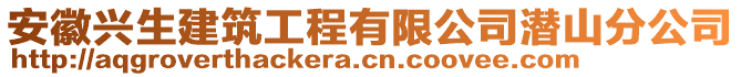 安徽興生建筑工程有限公司潛山分公司