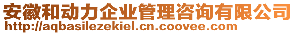 安徽和動力企業(yè)管理咨詢有限公司